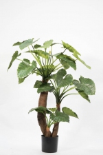 Kunstplant Alocasia 170cm  